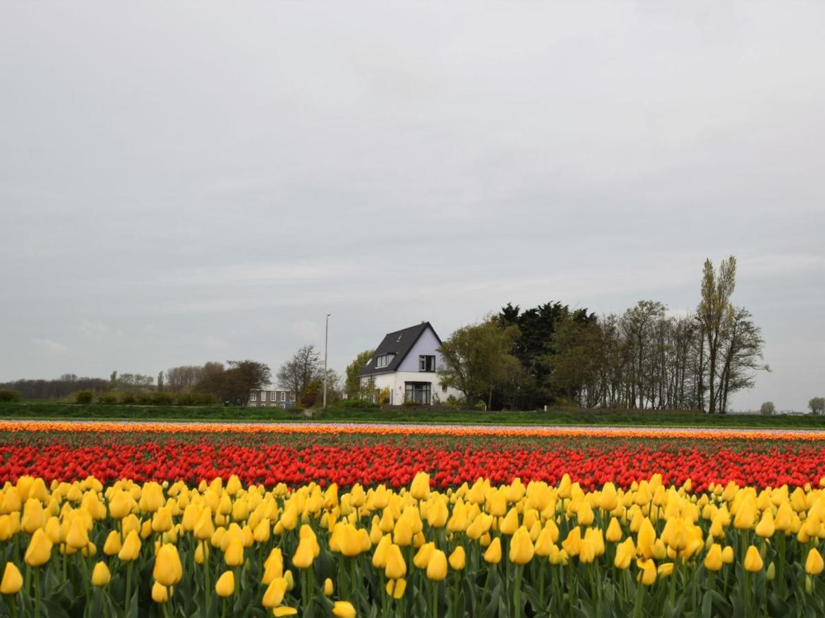 Attractive Holiday House In Katwijk Near The Beach Villa Katwijk aan Zee ภายนอก รูปภาพ